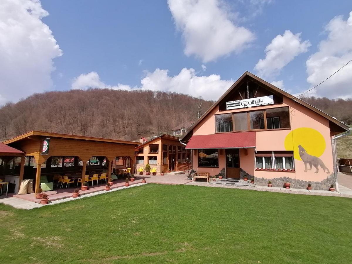 Pensiunea Colt Alb Băile Homorod Eksteriør bilde